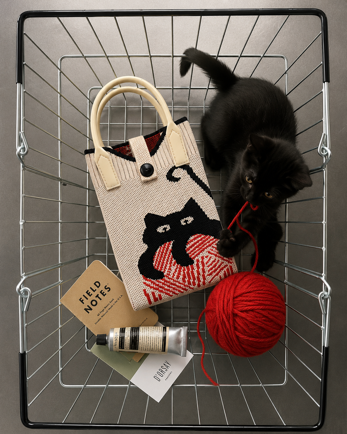 Le chat pelote